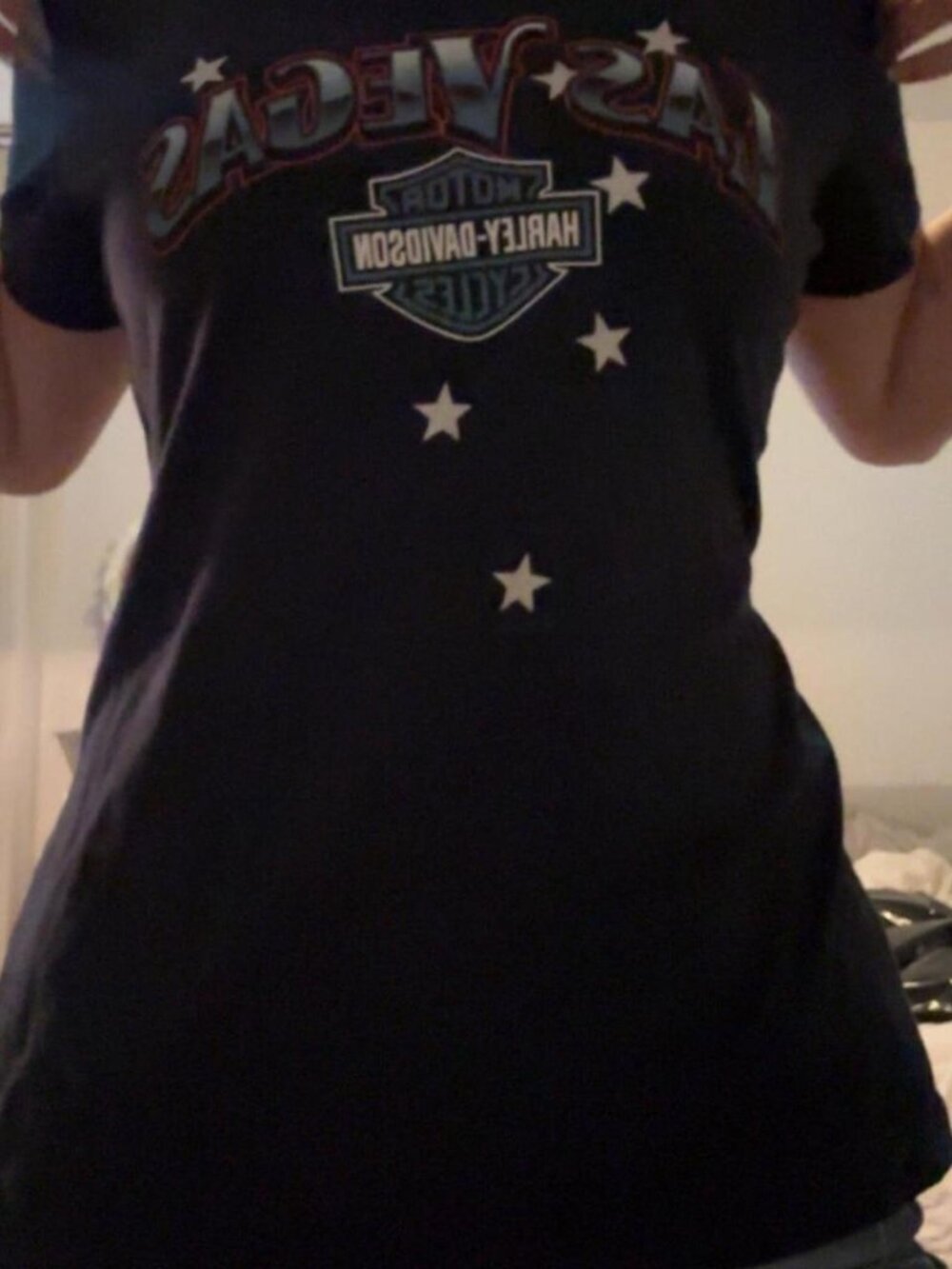 Harley Davidson Women's Black and Navy T-shirt